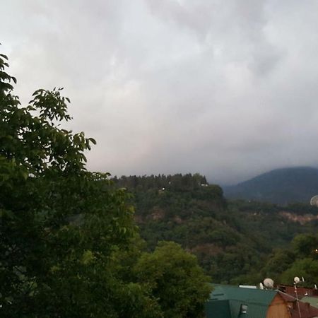 Hillside Orbeliani Residence Borjomi Dış mekan fotoğraf