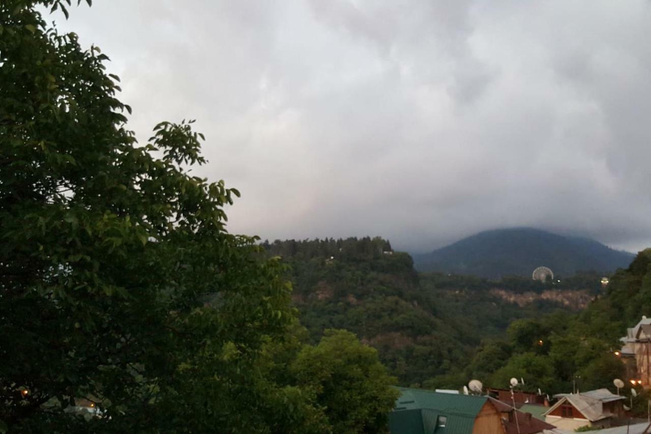 Hillside Orbeliani Residence Borjomi Dış mekan fotoğraf